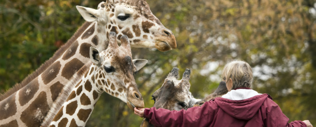 How To Become A Zookeeper 