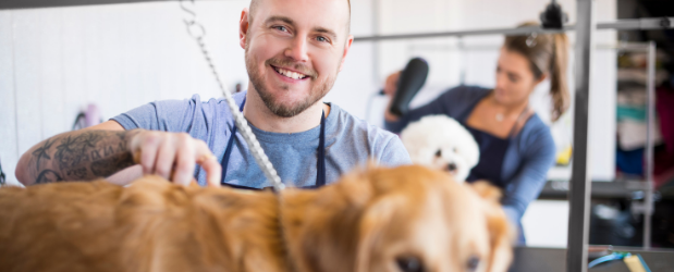 how often should dogs be groomed professionally